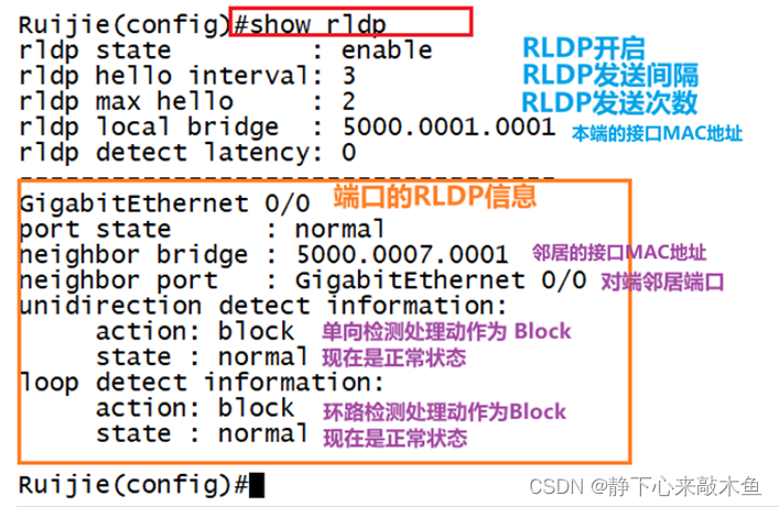 锐捷RLDP理论及实验讲解