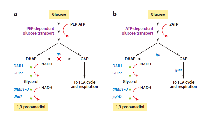 watermark,type_d3F5LXplbmhlaQ,shadow_50,text_Q1NETiBARUJMX0NBUw==,size_20,color_FFFFFF,t_70,g_se,x_16