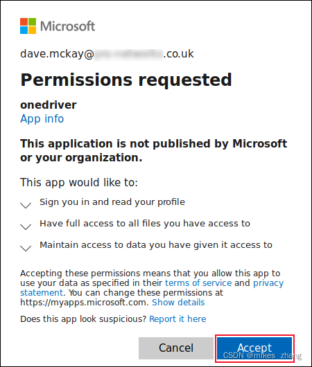 微软随后指出，该应用程序将有权访问您的 OneDrive 文件。点击蓝色的“接受”按钮表示您理解。