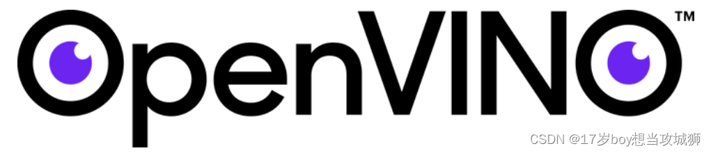 什么是OpenVino？以及如何使用OpenVino运行yolo