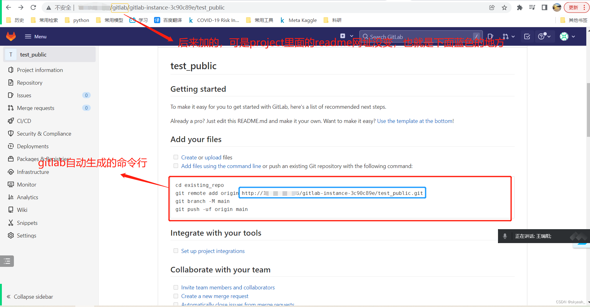 Gitlab Pull Example