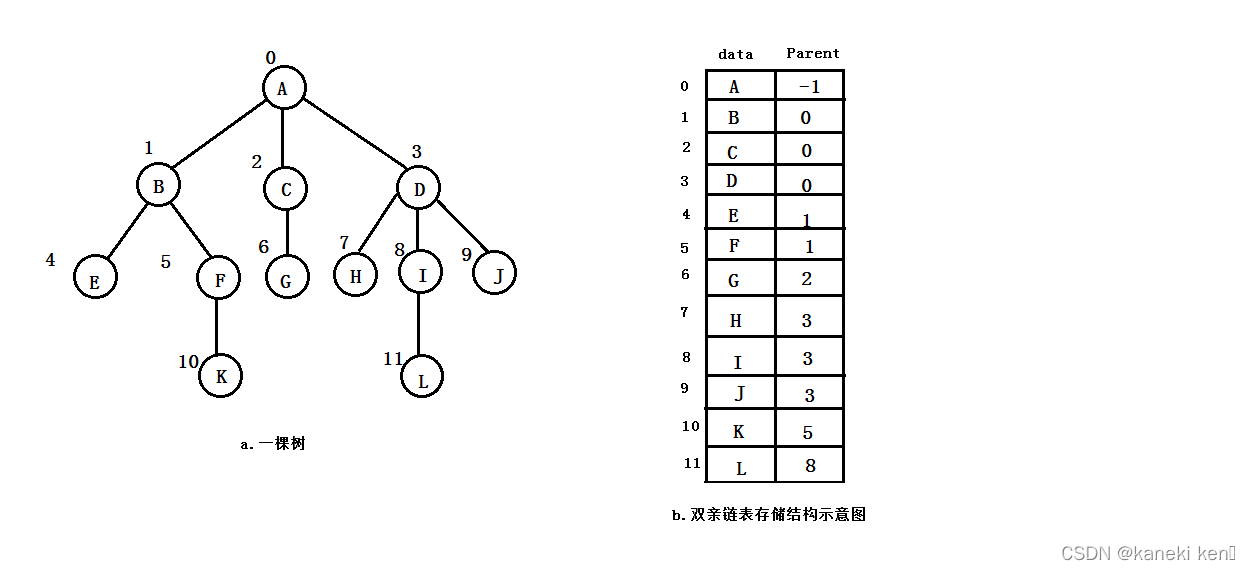 双亲链表存储结构示意图