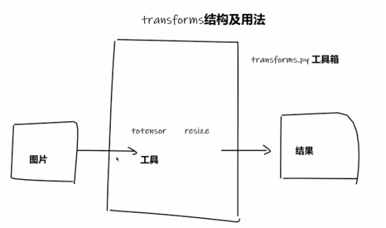 pytorch基础知识1