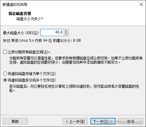 根据自己的需要设定磁盘空间