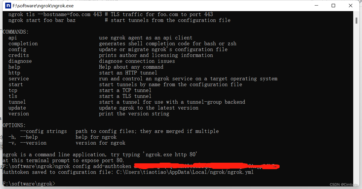 Ngrok 内网穿透教程(三步搞定)_ngrok内网穿透教程-CSDN博客