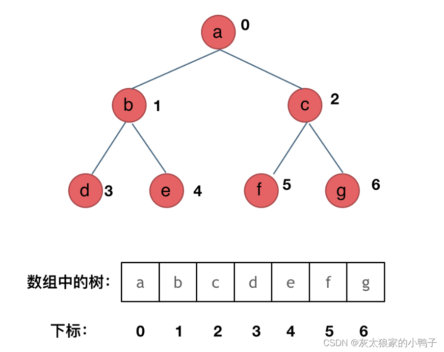 代码随想录---二叉树的总结和二叉树的定义