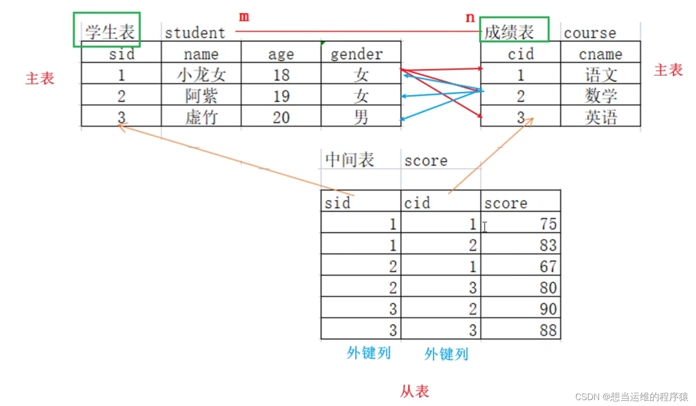 【SQL】MySQL中的约束