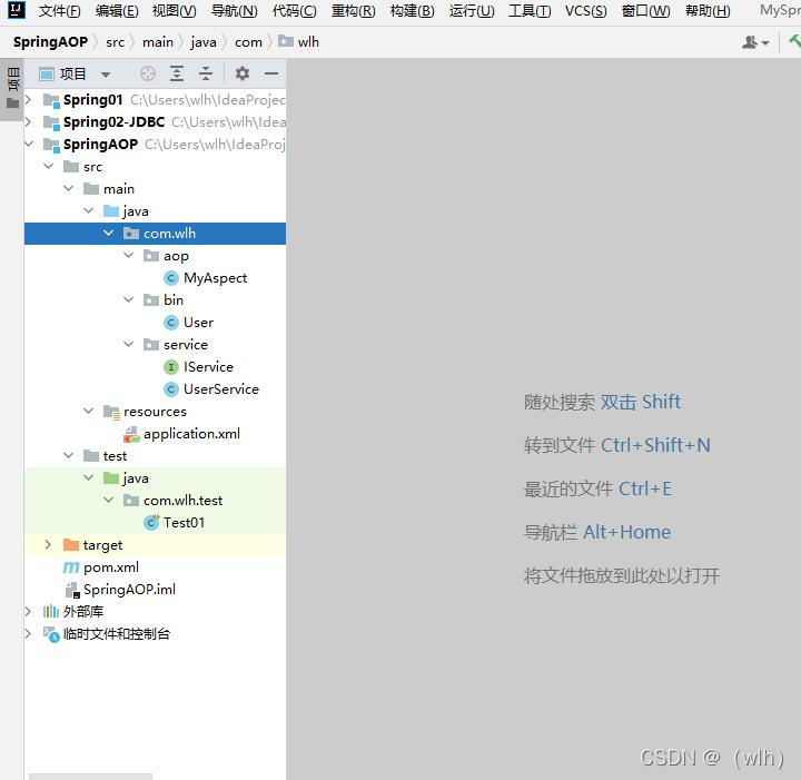 创建核心业务类