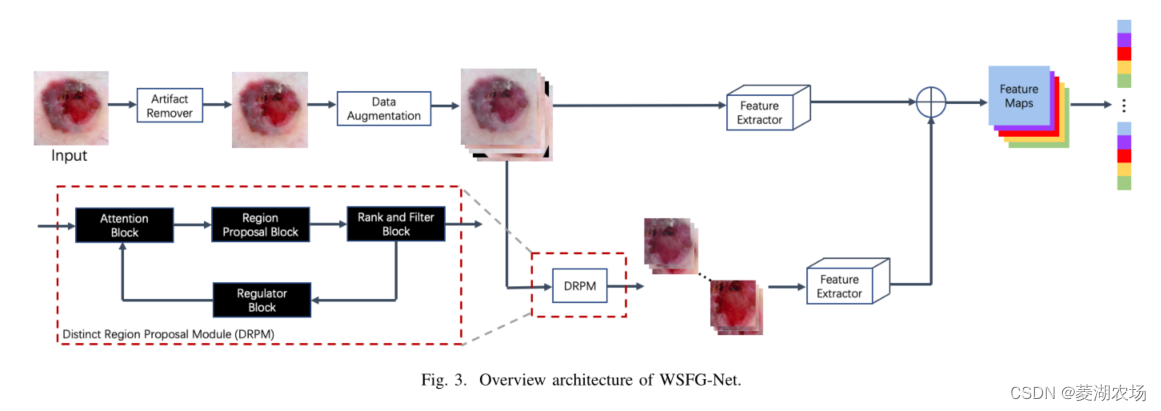 Arquitectura de red WSFG