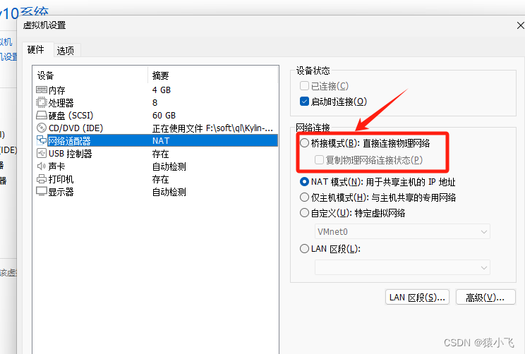 麒麟v10系统，在虚拟机上直接连公司同一个局域网，设置静态ip