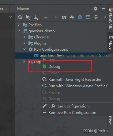 使用mvn的quarkus插件的debug