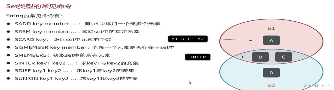 7、Set类型(和java的HashSet类似)_java和set类似的-CSDN博客
