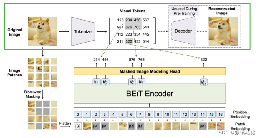 BLIP model