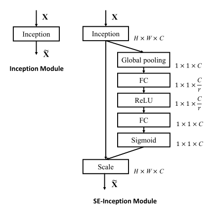 SE-Inception Module