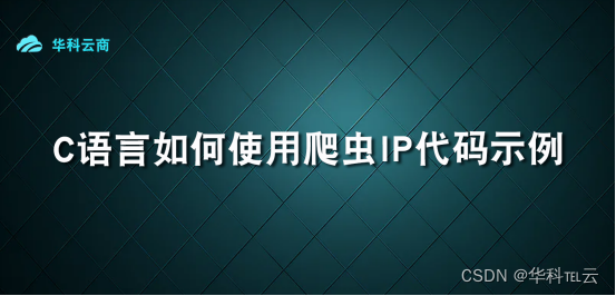 C语言使用ip代码示例