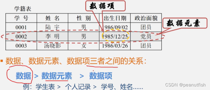 青岛大学王卓图片