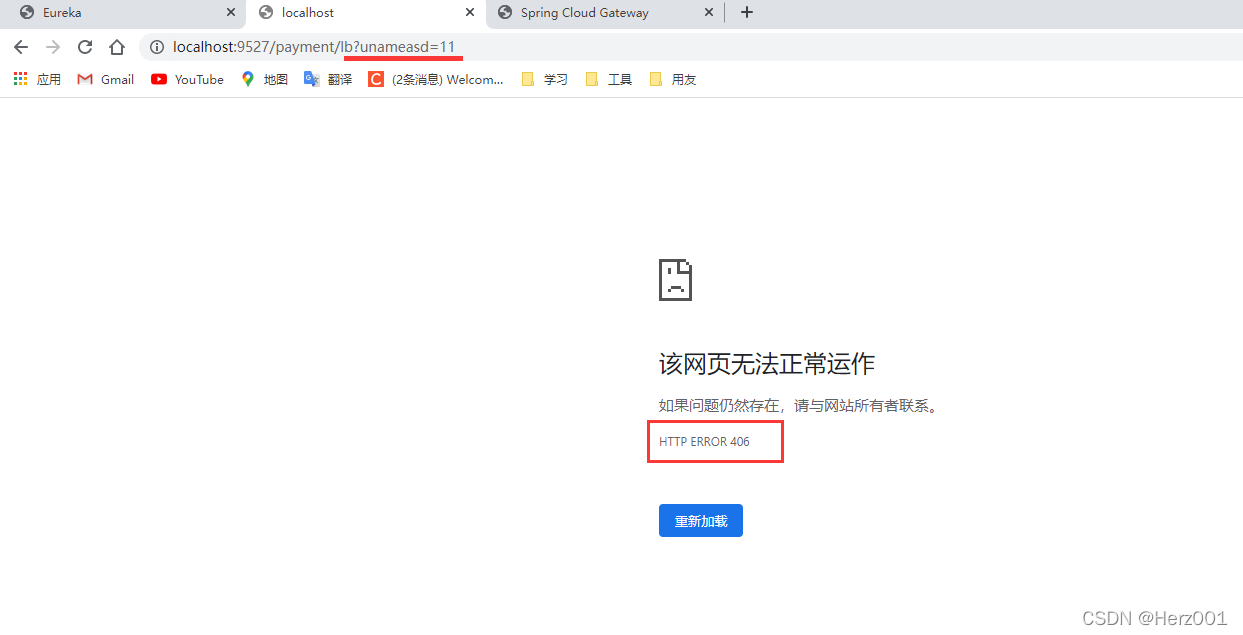 测试自定义过滤器-错误访问的情况