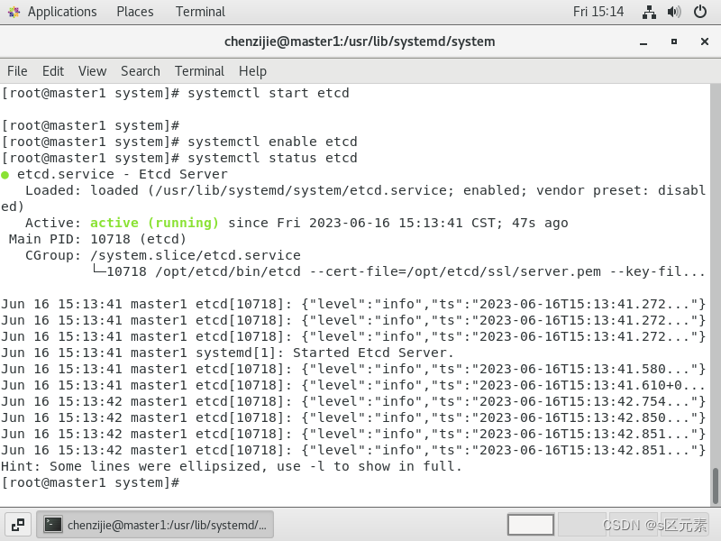 Failed to start etcd.service: Unit is not loaded properly: Invalid argument