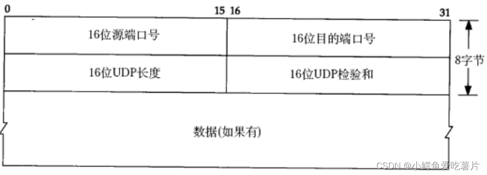 【网络协议】UDP