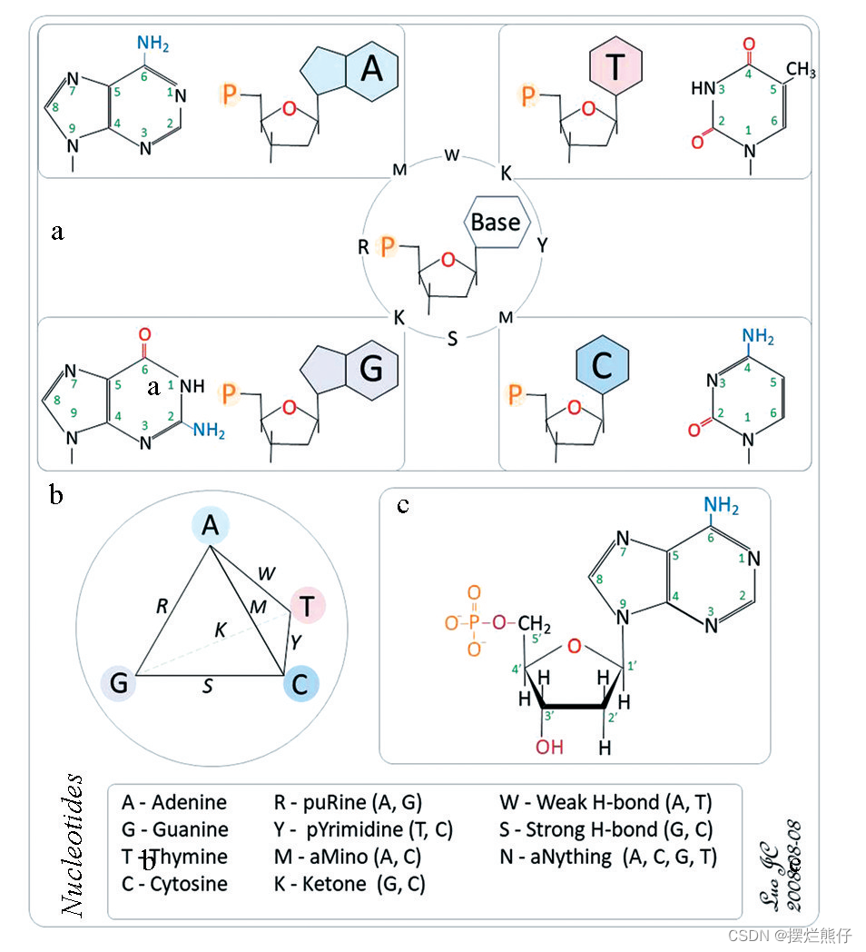 双序列比对-CSDN博客