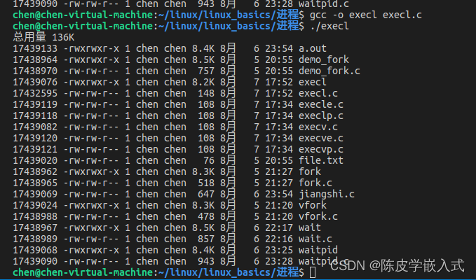 P11 Linux进程编程exec族函数