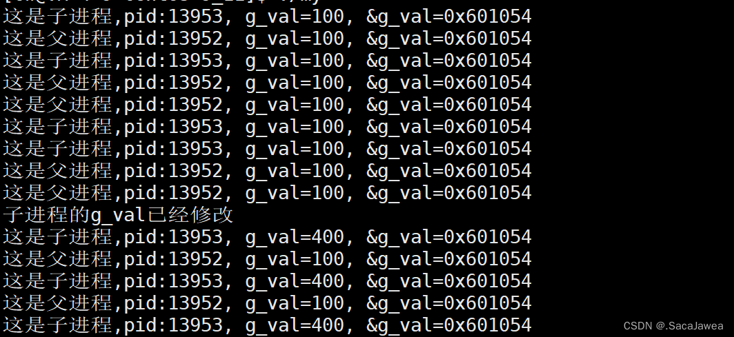 Linux | 进程理解，fork | 进程地址空间