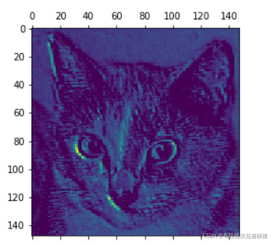 《Python 深度学习》5.4 卷积神经网络的可视化(代码)_cmap='viridis-CSDN博客