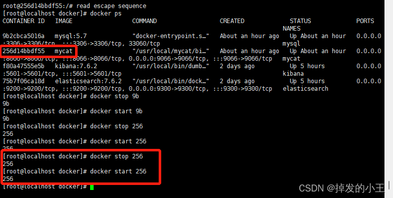 #冲刺创作新星#Docker安装Mycat和Mysql进行水平分库分表实战-鸿蒙开发者社区