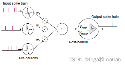 基于IM模型的SNN脉冲神经网络的verilog程序开发