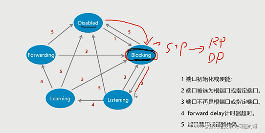 STP协议端口状态转换