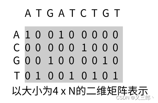 one-hot编码表示DNA序列