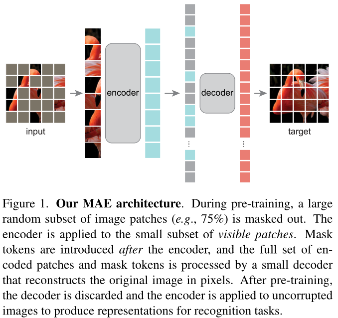 [外链图片转存失败,源站可能有防盗链机制,建议将图片保存下来直接上传(img-njW62PB7-1639292820491)(Masked%20Autoencoders%20Are%20Scalable%20Vision%20Learners%20e7d638a324c544c597f4204886384d88/MAE_fig1.png)]