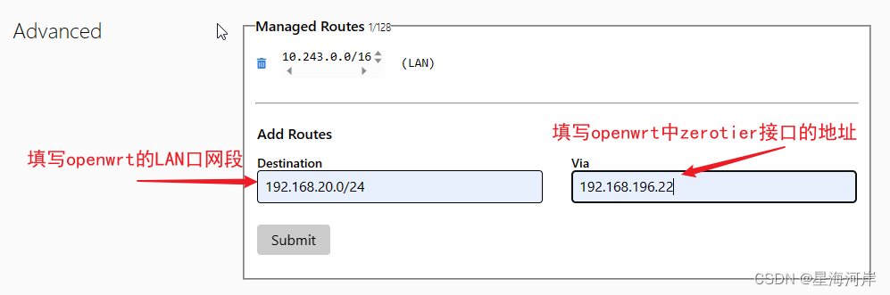 Zerotier网络配置