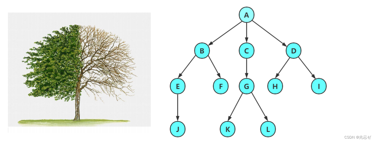 【数据结构 —— 二叉树的链式结构实现】