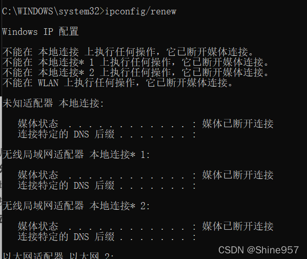 ipconfig/renew