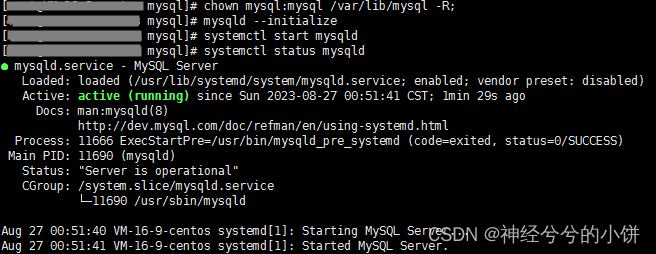 MySQL - 安装