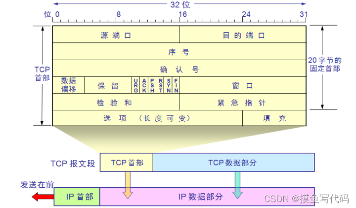 在这里插入图片描述