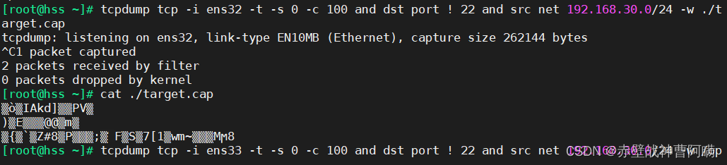 Linux网络——shell编程之SNAT与DNAT的应用