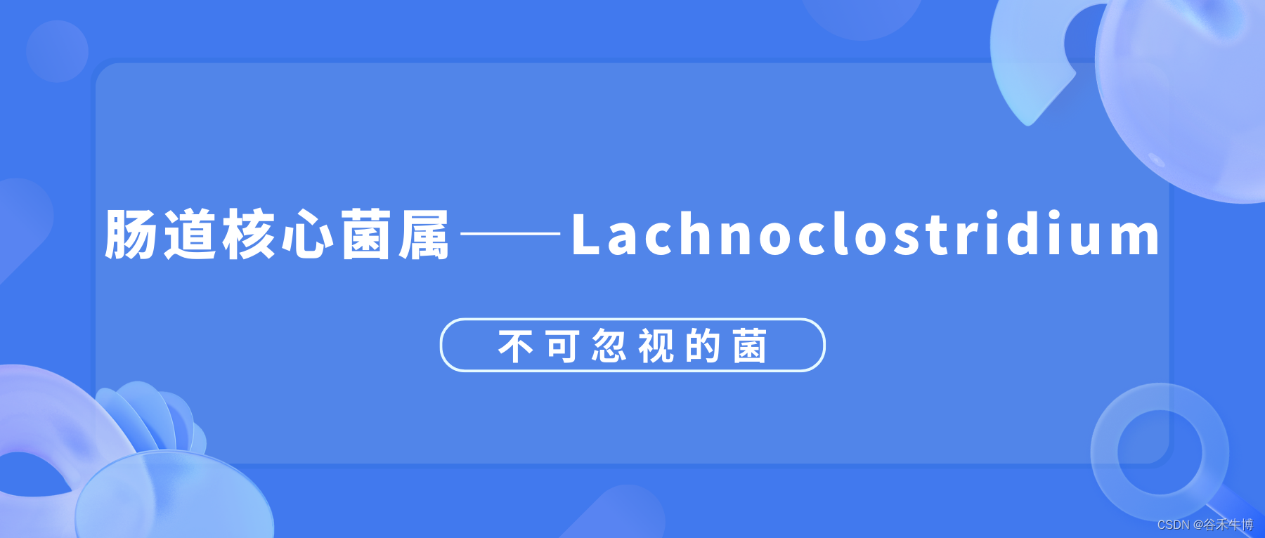 肠道核心菌属——Lachnoclostridium