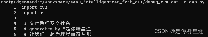 Linux命令集（Linux常用命令--cat指令篇）