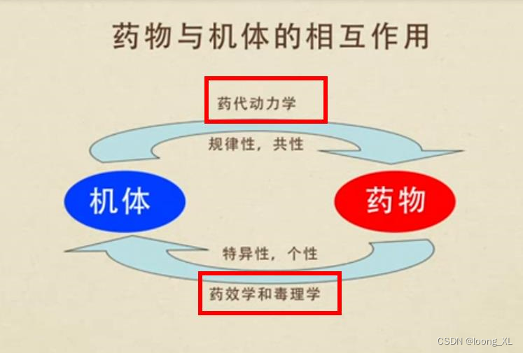 药物相关 PK（药代动力） 、PD（药效）指标知识