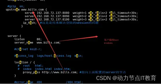 Java零基础——Nginx篇