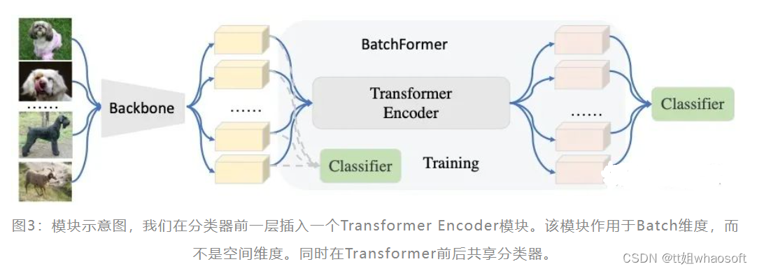 Batch TransFormer_fbatchformer代码-CSDN博客