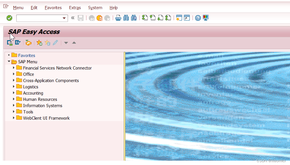 Sap gui 7 70 sap770 csdn 