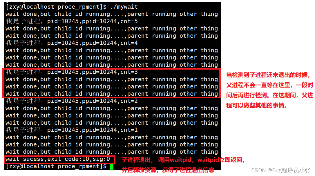 Linux---进程控制_execvpe-CSDN博客