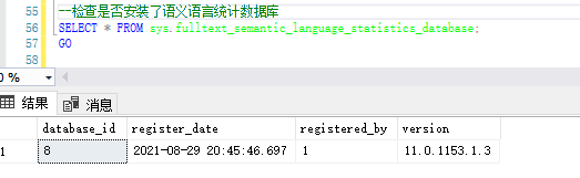 检查是否安装了语义语言统计数据库