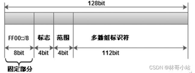 IPv6之组播地址分类