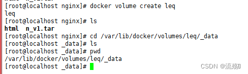 Docker数据卷与容器的挂载