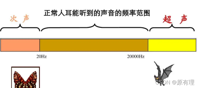 次声波与超声波